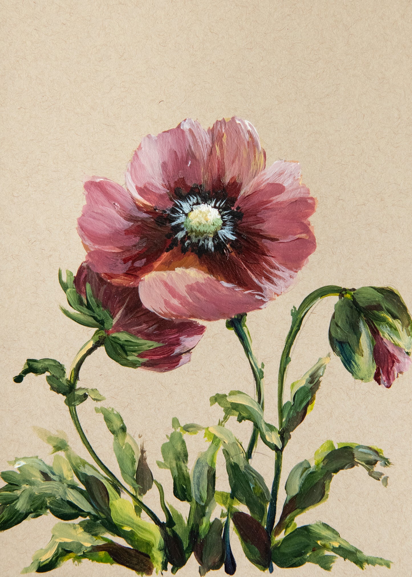 Poppy - Original Painting