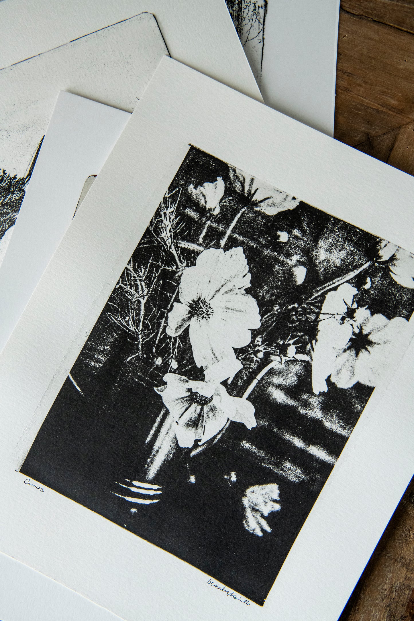 Gel Plate Mono Print - Cosmos