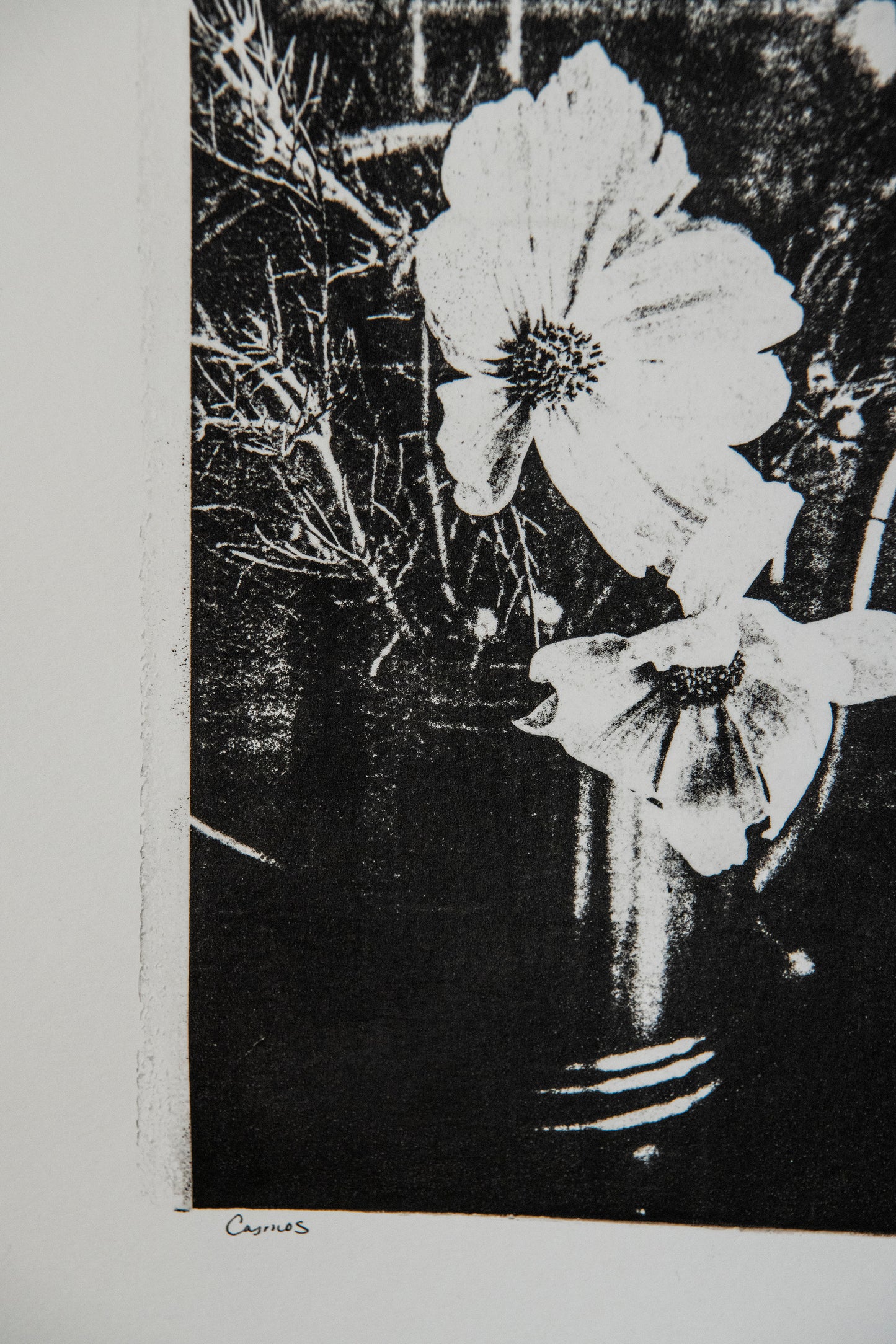 Gel Plate Mono Print - Cosmos