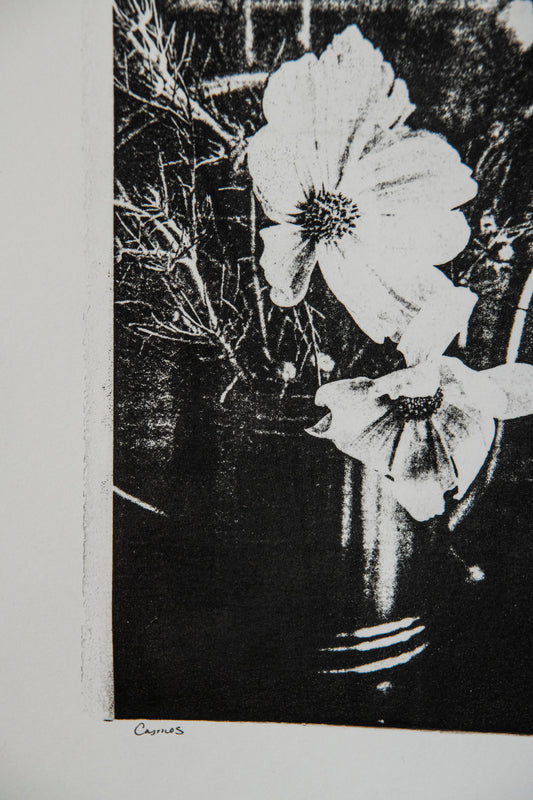 Gel Plate Mono Print - Cosmos