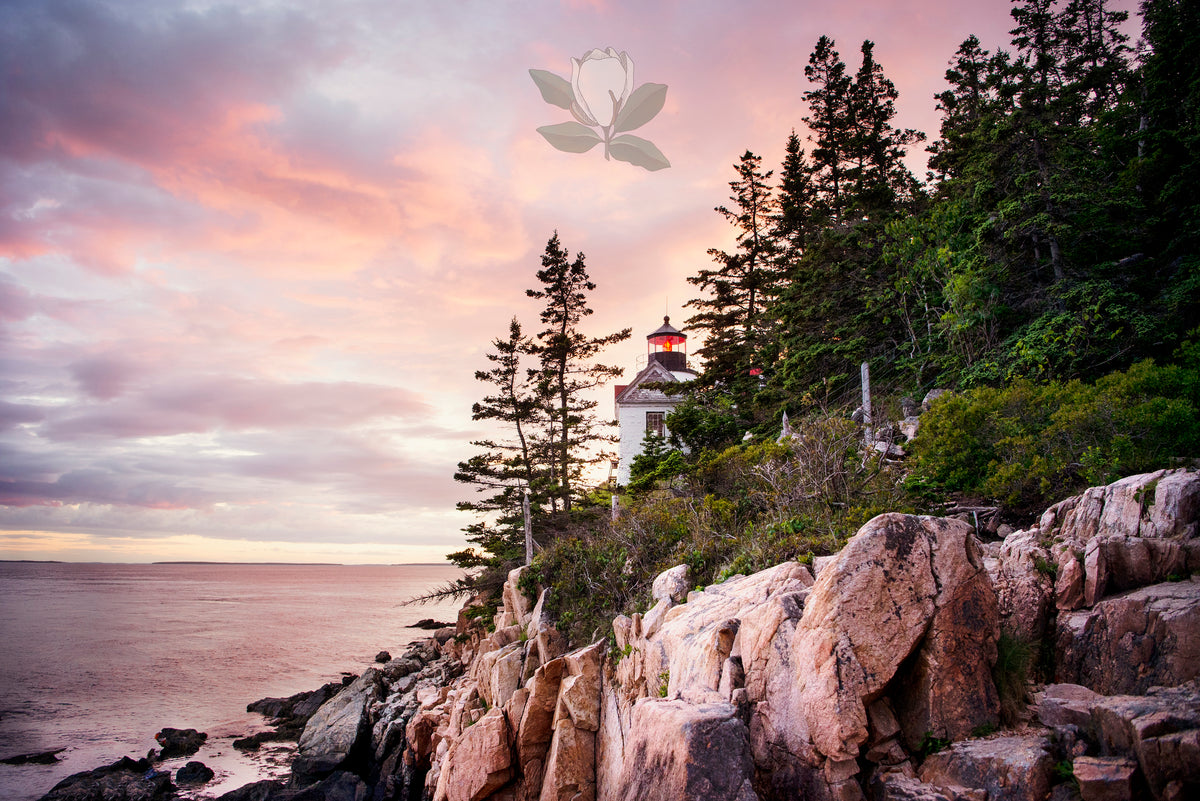 Fine Art Print - Bass Harbor