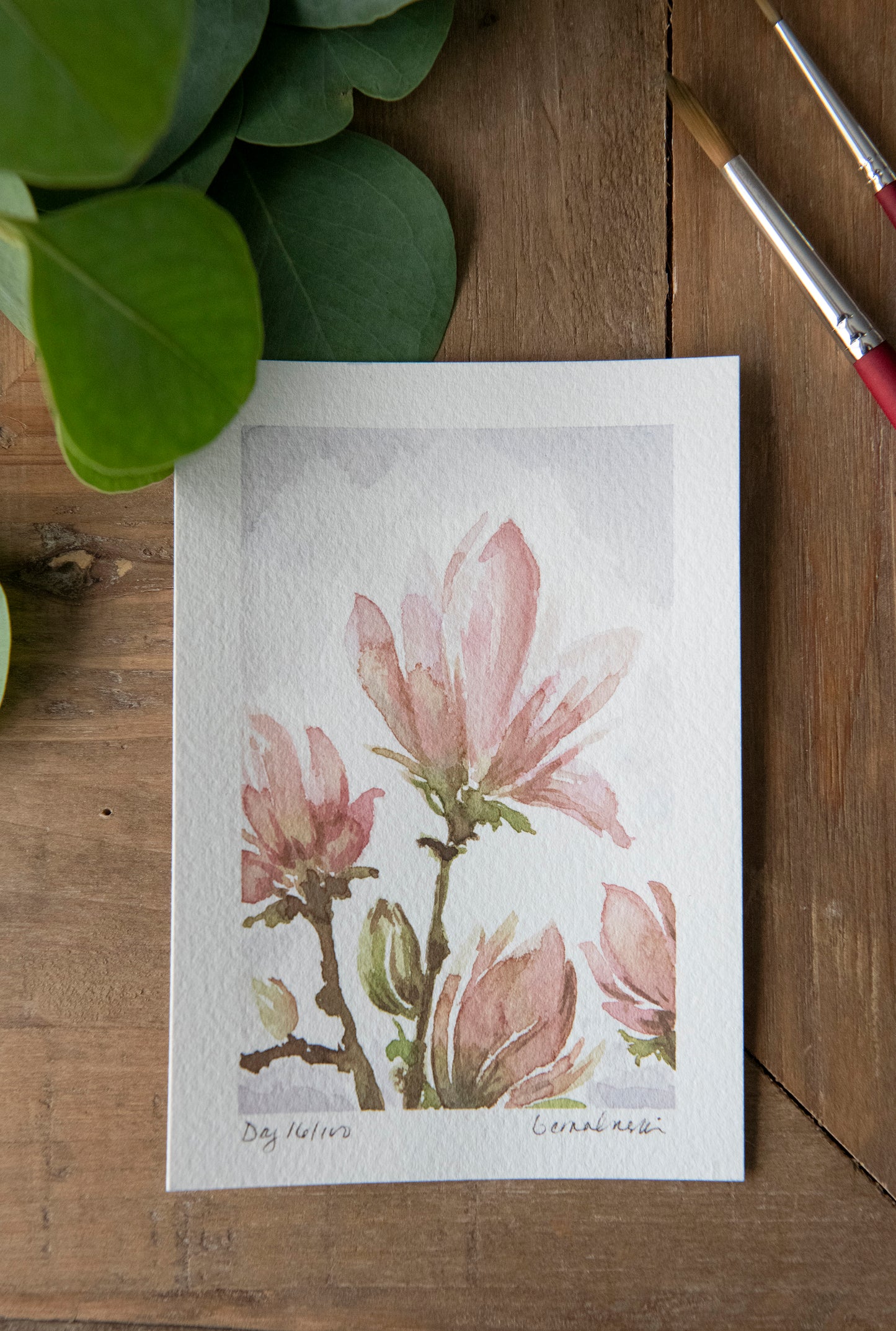 Spring Magnolia - Original Watercolor