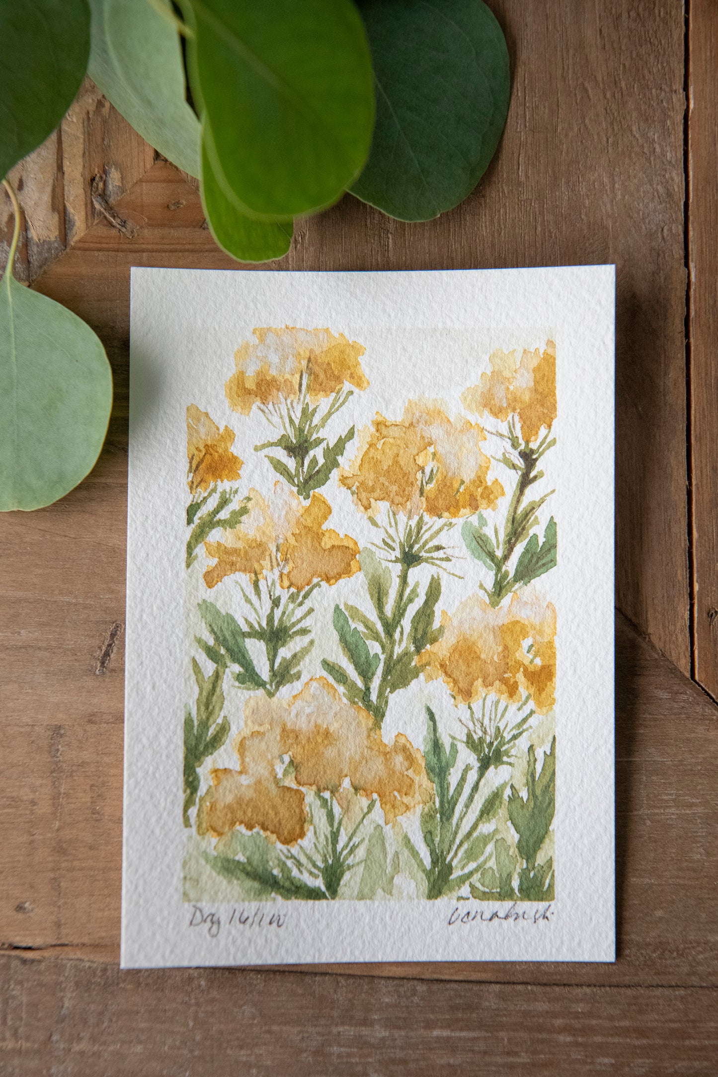 Yellow Yarrow - Original Watercolor